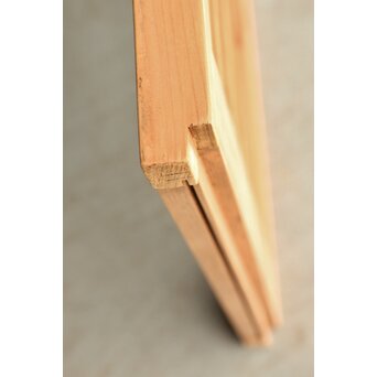 梅に鶯 ガラス書院戸 2枚1組　R0222 