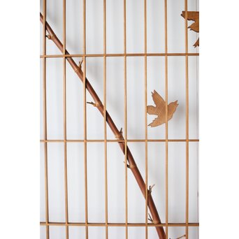 本竹仕様 竹雀 書院戸 2枚1組　R0226 