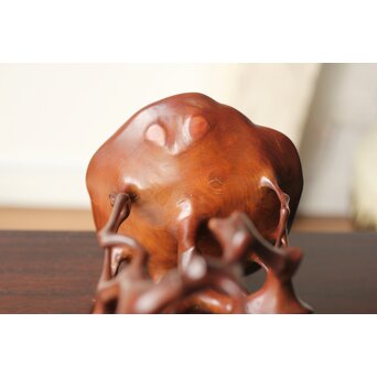 黄楊 天然木意 根木台 卓　X366 