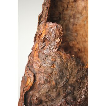 自然木 卓　X368 