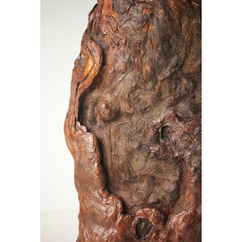 自然木 卓　X368 