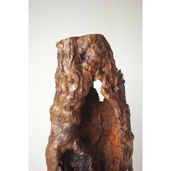 自然木 卓　X368 