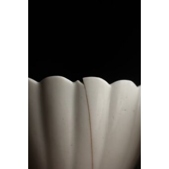 古伊万里白磁 大振菊型向付 5客1組　P353 