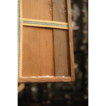 古伊万里 白磁染付 雲龍図皿　P356 