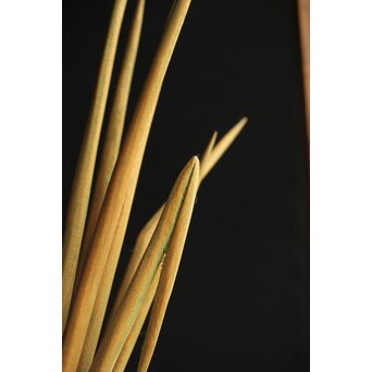 島田恭宏作か 袋と野菜 木彫彫刻　X374 