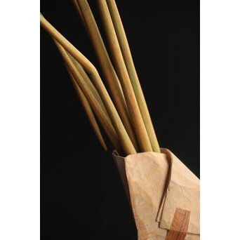 島田恭宏作か 袋と野菜 木彫彫刻　X374 