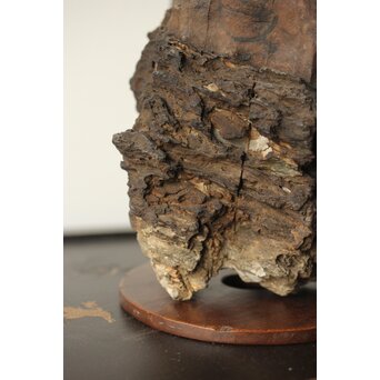 安政年号入 石仏と厨子　U309 