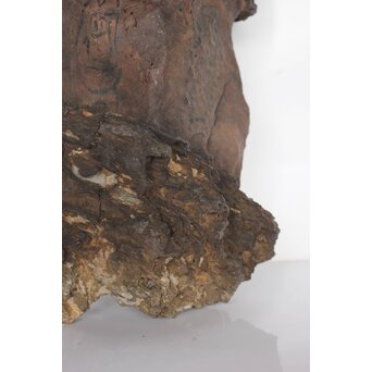 安政年号入 石仏と厨子　U309 