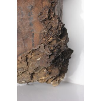 安政年号入 石仏と厨子　U309 