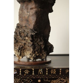 安政年号入 石仏と厨子　U309 