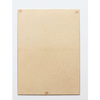 粛粲寶/しゅくさんぽう) 大色紙 「中庭地白樹」　Z337 