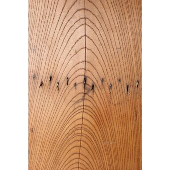 鋲尽の欅板蔵戸　W080 