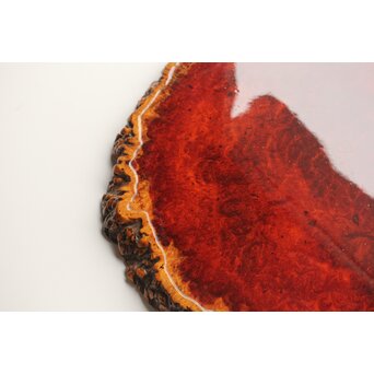 花梨瘤木 縁取敷板　X376 