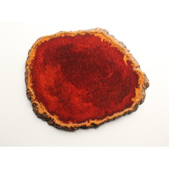 花梨瘤木 縁取敷板　X376