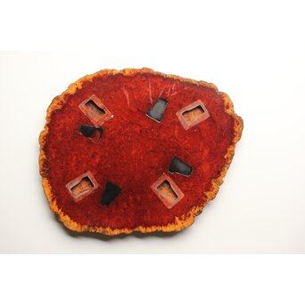 花梨瘤木 縁取敷板　X376 