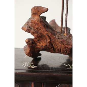 自然木 天然木 鳥 置物　X379 