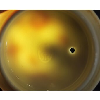 三浦竹泉 赤絵龍紋 煎茶器7点　P363 