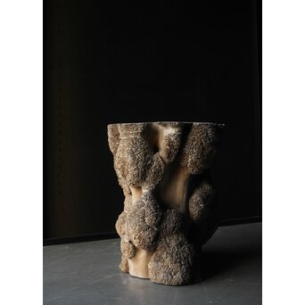 天然木 瘤木古材 展示台　X384 