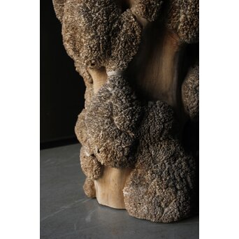 天然木 瘤木古材 展示台　X384 