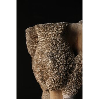 天然木 瘤木古材 展示台　X384 