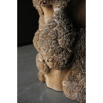 天然木 瘤木古材 展示台　X384 