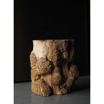 天然木 瘤木古材 展示台　X384 