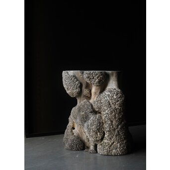 天然木 瘤木古材 展示台　X384