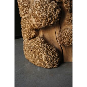 天然木 瘤木古材 展示台　X384 