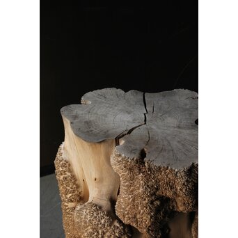 天然木 瘤木古材 展示台　X384 