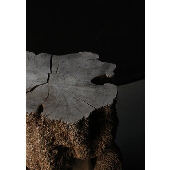 天然木 瘤木古材 展示台　X384 