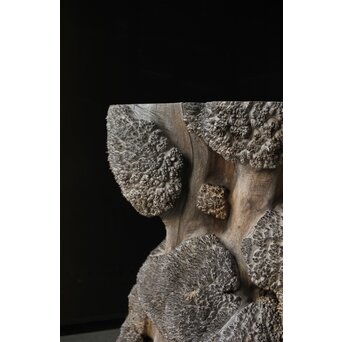 天然木 瘤木古材 展示台　X384 