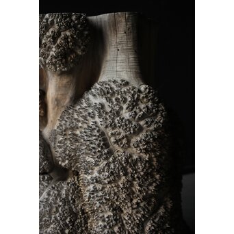 天然木 瘤木古材 展示台　X384 