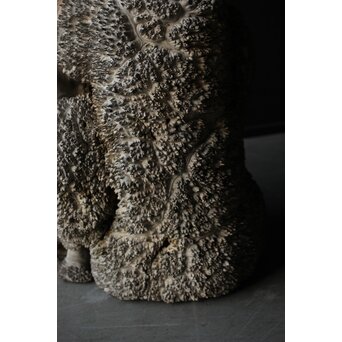 天然木 瘤木古材 展示台　X384 