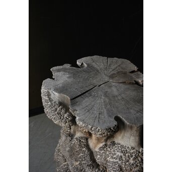 天然木 瘤木古材 展示台　X384 