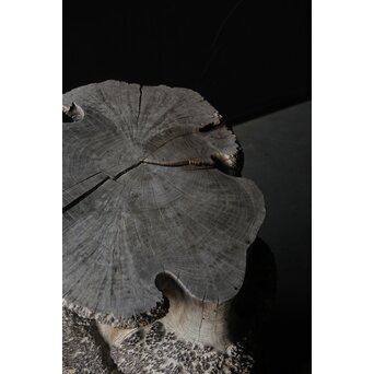 天然木 瘤木古材 展示台　X384 