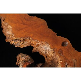 古木 朽木 敷板　X387 