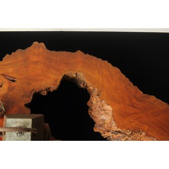 古木 朽木 敷板　X387 