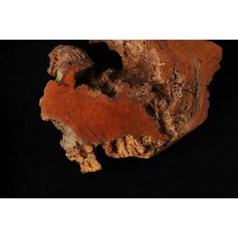 古木 朽木 敷板　X387 