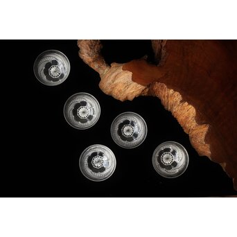 堀口硝子 須田秀石 江戸切子 麻ノ葉斜子文 冷茶碗五客 共箱　Y039