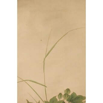 加賀友禅【芙蓉白鷺図】染絵 染掛軸 守中銘 共箱　Z373 