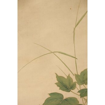 加賀友禅【芙蓉白鷺図】染絵 染掛軸 守中銘 共箱　Z373 