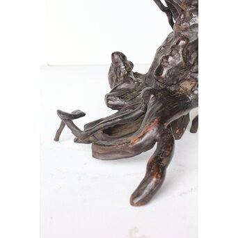 時代 根木 自然木 天然木 盆栽卓　X395 