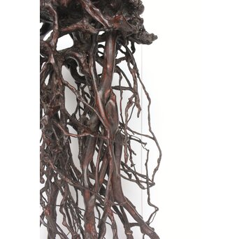 時代 根木 自然木 天然木 盆栽大卓　X396 