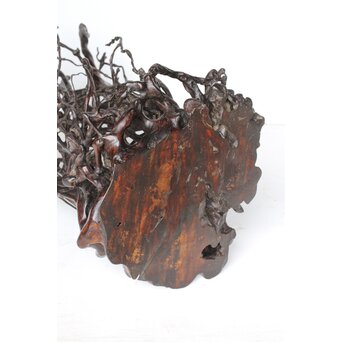 時代 根木 自然木 天然木 盆栽大卓　X396 