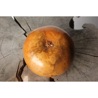 玄々斎好 内金ふくべ炭斗/菓子器　Q321 