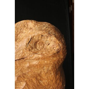 恐竜か 駱駝か 木彫オブジェ　X399 