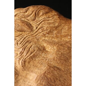 恐竜か 駱駝か 木彫オブジェ　X399 