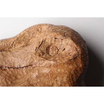 恐竜か 駱駝か 木彫オブジェ　X399 