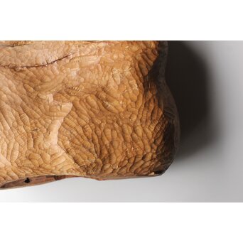 恐竜か 駱駝か 木彫オブジェ　X399 