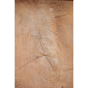 欅一枚板蔵戸　W089YD 